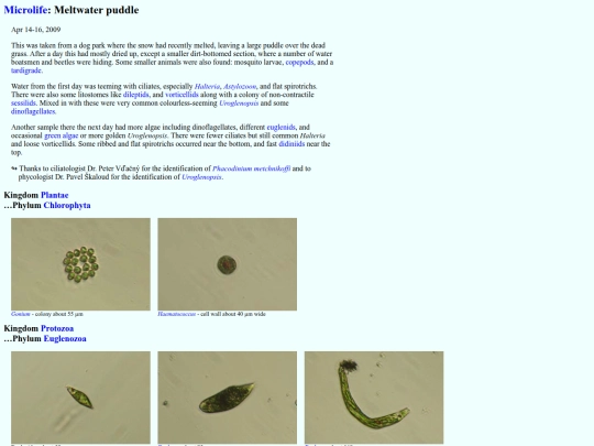 microlife/SW0904 screenshot