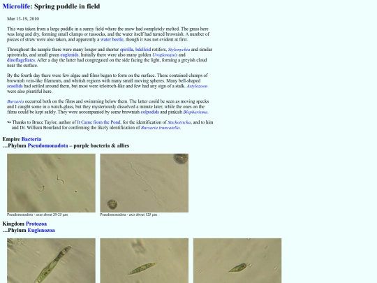 microlife/SW1003 screenshot