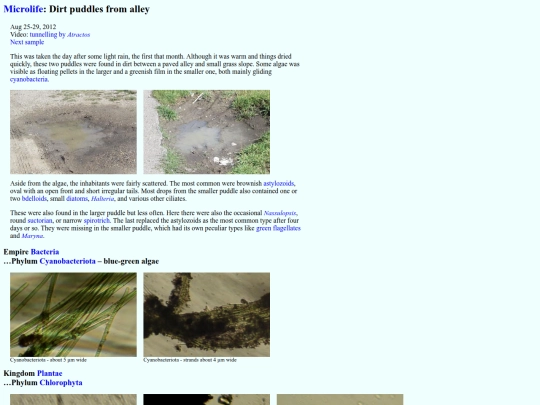 microlife/SW1208 screenshot