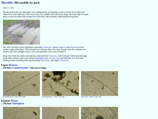 microlife/SW1307 screenshot