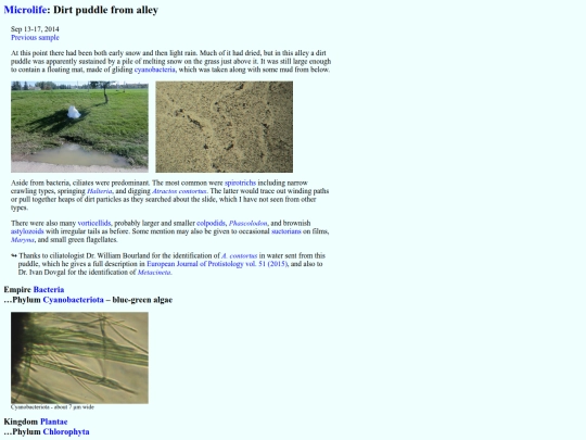 microlife/SW1409 screenshot