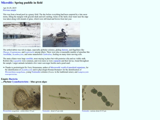 microlife/SW1904 screenshot
