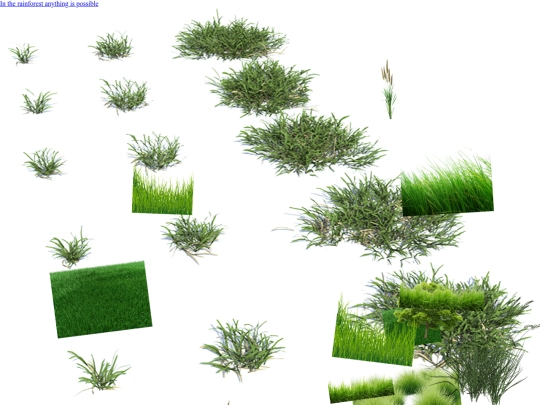 therainforestv2 screenshot