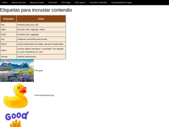 p06_etiquetes_incrustar_contenido screenshot