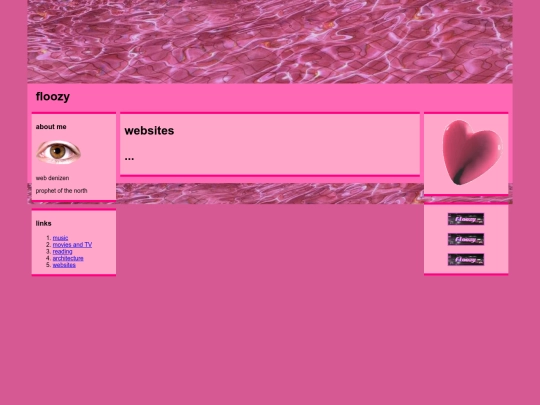 web screenshot