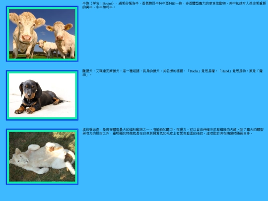 test01 screenshot