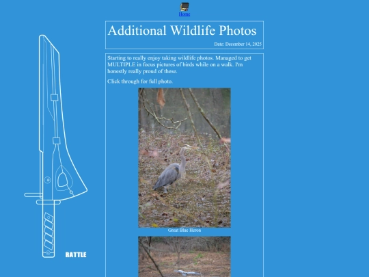 blog/birdphotos screenshot