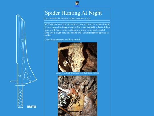 blog/night_spiders screenshot