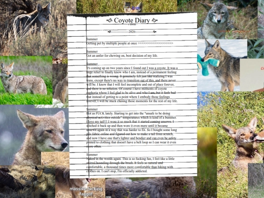 coyote_diary screenshot