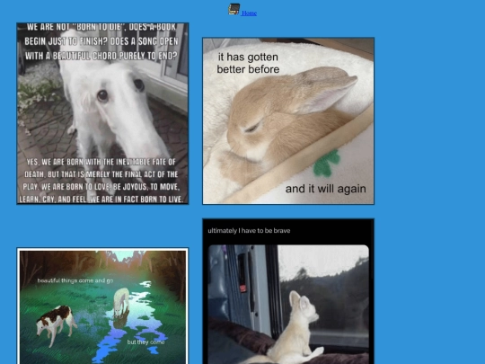 hopeposting screenshot