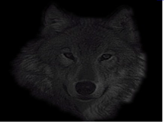 orchard/wolfzone screenshot