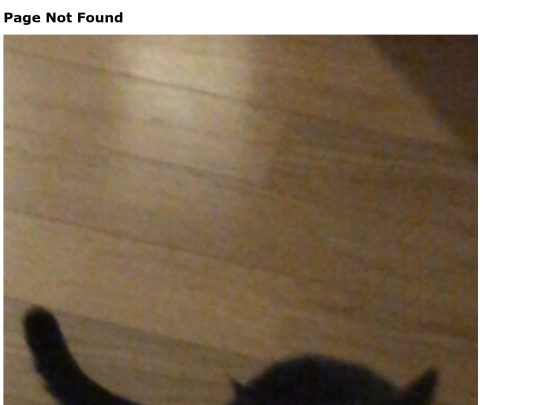 not_found screenshot