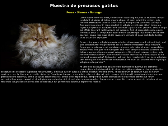 examen screenshot