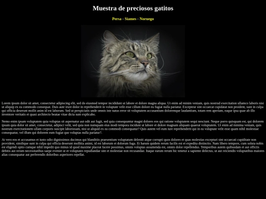 examen/noruego screenshot