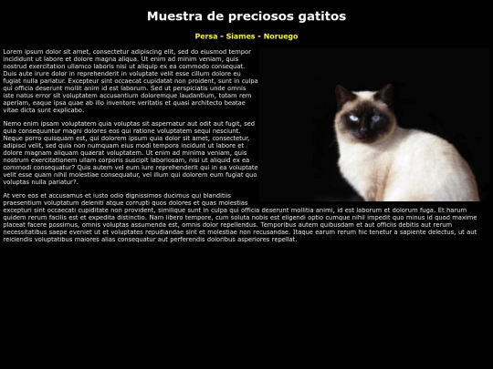 examen/siames screenshot