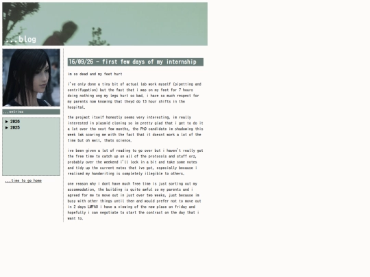 blog screenshot