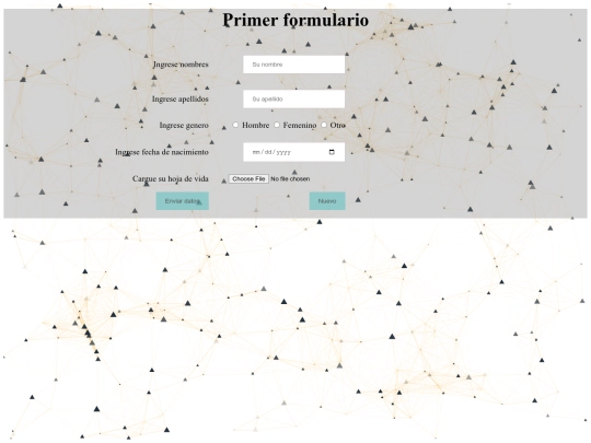 formulario screenshot
