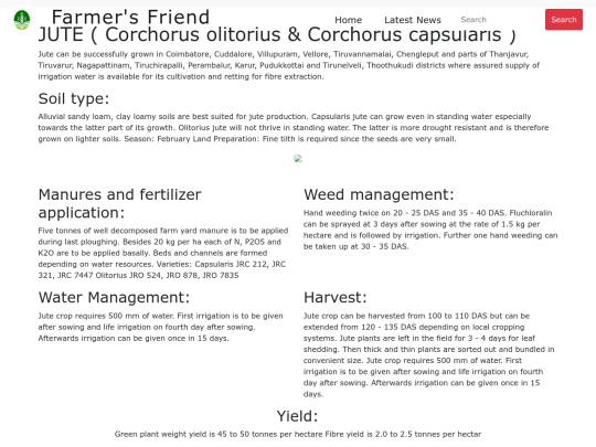responsive/jute screenshot