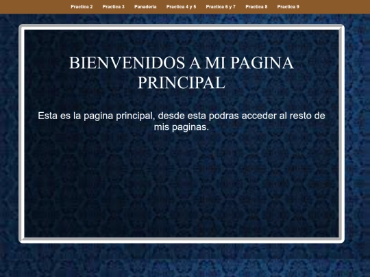 practica11 screenshot