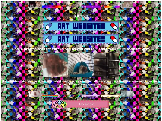 professionalratenthusiast screenshot