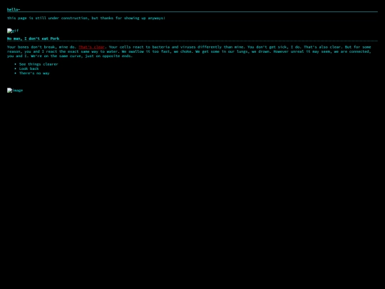 home screenshot