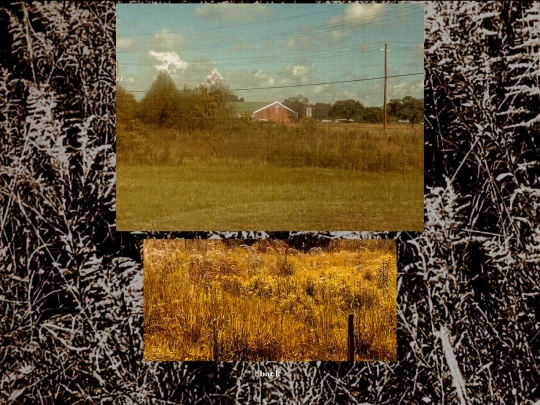 photos screenshot