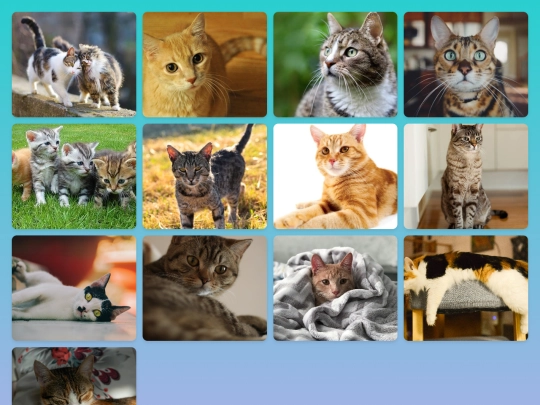 gallery screenshot