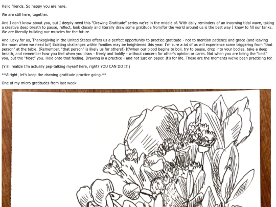 nas/gratitude-email screenshot