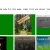 The web site of anthologyhtmma avatar