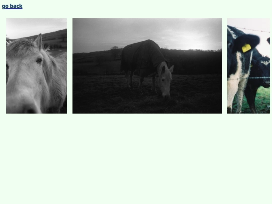 animals screenshot