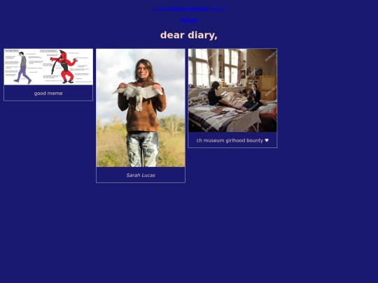 diary screenshot