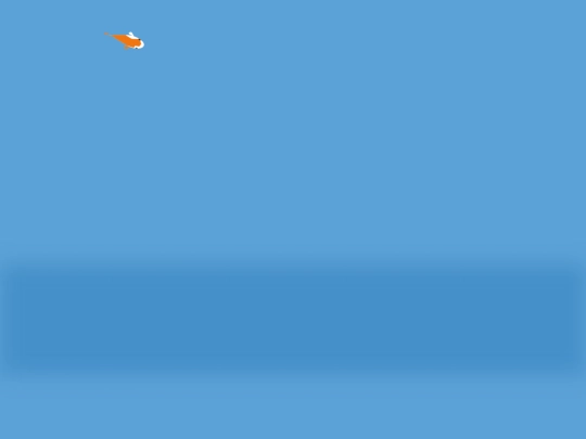 pond/single_fish screenshot