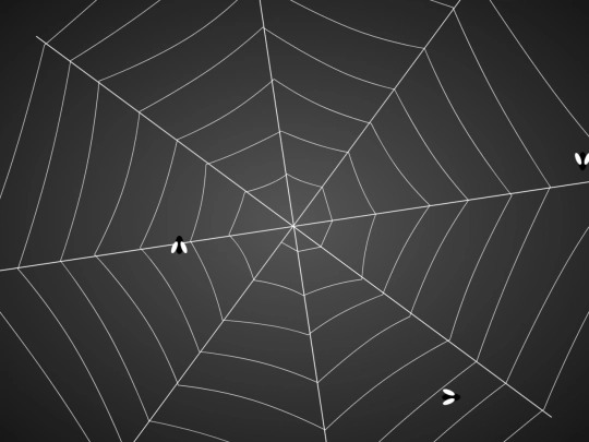 spiderweb screenshot