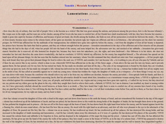 Tanakh/Lament screenshot