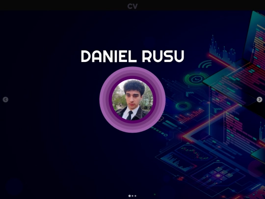 porfolio/CV 2 screenshot
