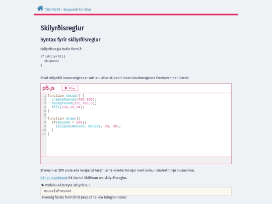 G4-Skilyrdisreglur screenshot
