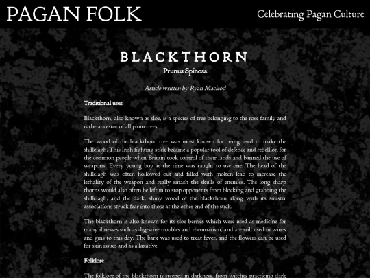 blackthorn screenshot