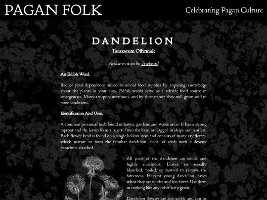 dandelion screenshot