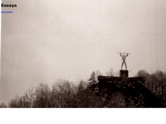 dir/essays screenshot