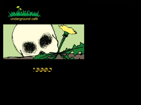 2004site screenshot