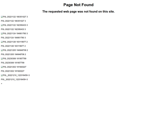 old_archived/photographs screenshot