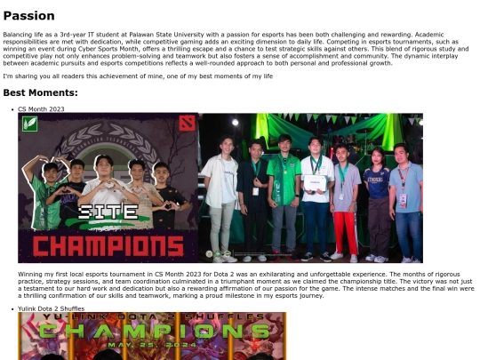 Portfolio screenshot