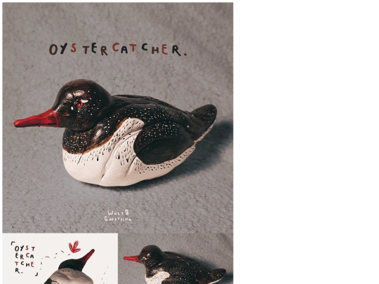 galleries/oystercatcher screenshot