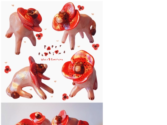galleries/poppy-florions screenshot