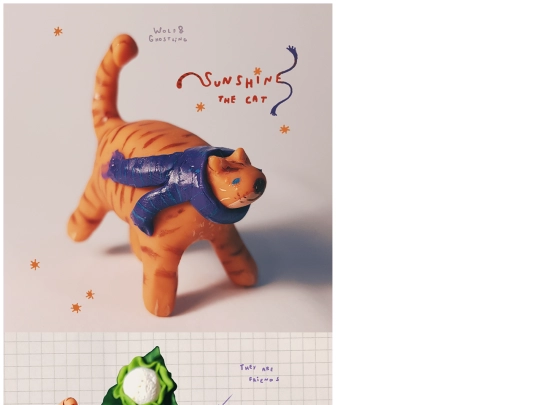 galleries/sunshine-the-cat screenshot