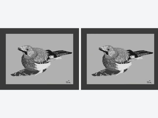 jb-gallery/copilot-two-images-side-by-side-tailwind screenshot