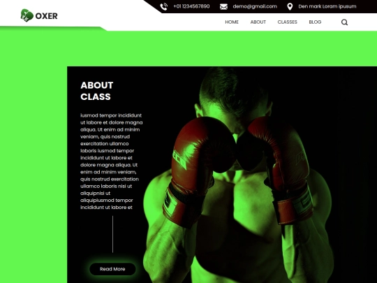 vide_web/templates/templates/oxer-html/about screenshot