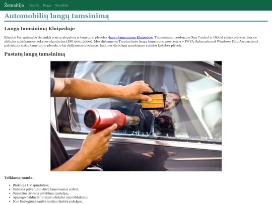 automobiliu-langu-tamsinima screenshot