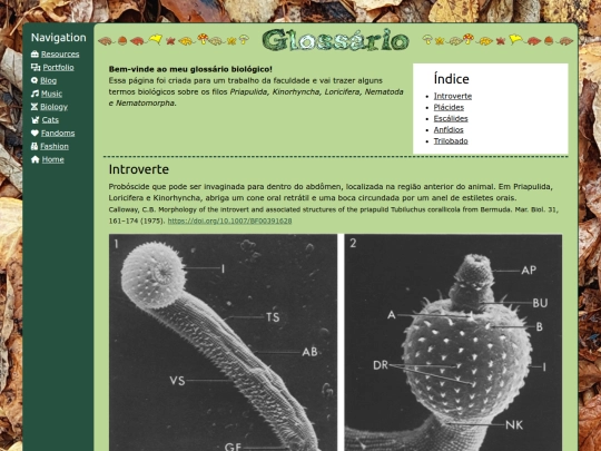 glossario screenshot