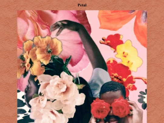 petal_20250829 screenshot